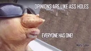 Opinions Are Like Ass holes