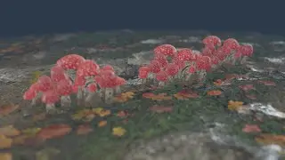 Trees in 