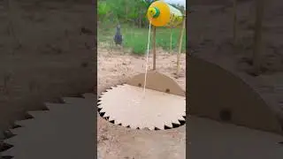 Wow Amazing Pigeon Bird Trap. #shortvideo #birds #animaltrap