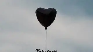 The Amity Affliction - Burn Alive