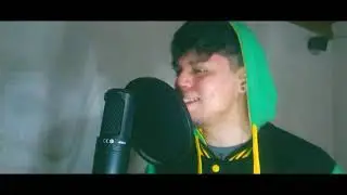 Post Malone, Swae Lee - Sunflower (COVER)