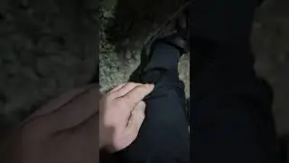коротко о погоде 😂 #погода #Геленджик #зима