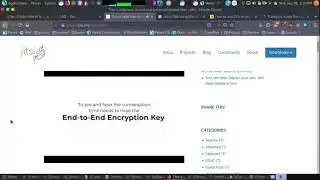 Zoom/Skype Alternatives? Try True E2E Encrypted Video Chat: QTox (Pinephone/Desktop), Jitsi And Why
