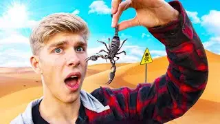 My College Friends and I Ate a Scorpion