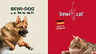 Немецкие корма для собак Bewi Dog и для кошек Bewi Cat | Вебинар 2021