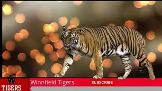 Winnfield Tigers winn vs D'arbonne Woods 9 11 23