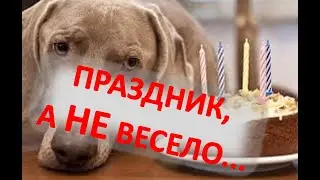 ПРАЗДНИКИ НЕ РАДУЮТ? ЧТО ДЕЛАТЬ.