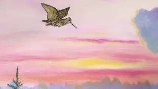 Охота на Вальдшнепа. Как есть.