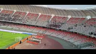 Bari - Reggiana 2-2. Rigore Reggiana -  Gondo