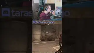 Анубис кс го Смок в кон cs go 