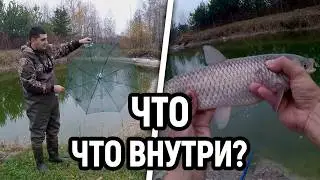 Мой пруд с рыбой.Пруд на даче.Выпустил ведро рыбы в реку,рыбаки в шоке).