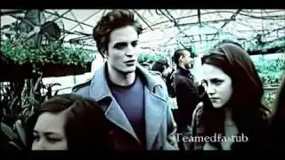 Funny Twilight Moments