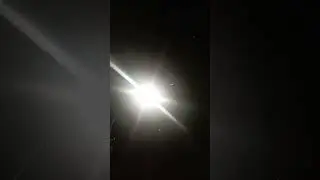ПОЛЕТЕЛИ БЕЛЫЕ МУХИ