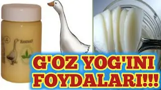 G'oz yog'ini inson salomatligi uchun foydalari.  @shomurzayevramazon
