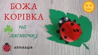 БОЖА КОРІВКА або СОНЕЧКО #аплікація#божакорівка#сонечка#ladybug