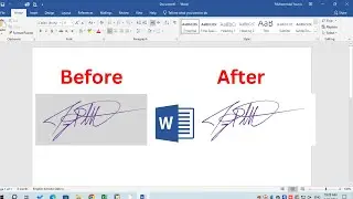 Make your signatures professional | Copy signatures into PC