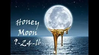 Honey Moon 9-24-16 /// Florida /// The Bahamas /// Trophy Room
