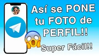 Como PONER FOTO de PERFIL en TELEGRAM