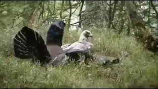 Видео о мужской дружбе