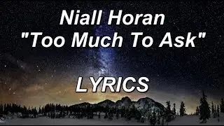 Niall Horan - Too Much To Ask - LYRICS