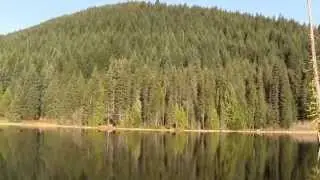 Morning, Forest Lake; Oregon, USA. Утро, лесное озеро, Орегон, США (2282sp)