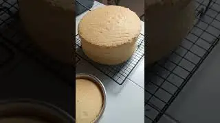 fluffy chiffon cake
