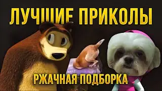 РЖАЧНАЯ ПОДБОРКА | лучшая смешная подборка приколов 2020