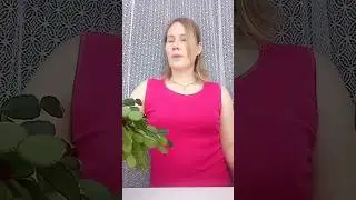 #приколы#юмор#жиза#я
