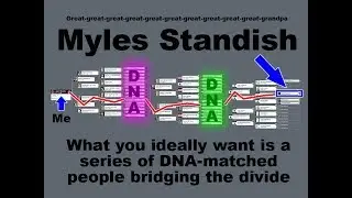 DNA Verification