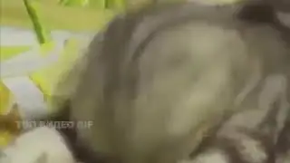 Утром в понедельник