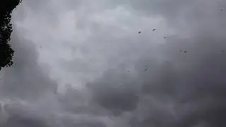 футаж 