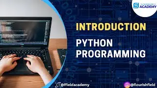 Ultimate Python Programming Introduction (Learn Python Fast!)