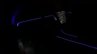 Model Y Interior Lights