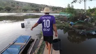 MUITOS PEIXES NO MEU POÇO, PESCANDO PARA COLOCAR EM UM NOVO TANQUE-REDE