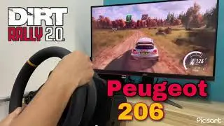 Dirt Rally 2.0 - Peugeot 206 Rally - Xbox Series X + Thrustmaster TX Gameplay