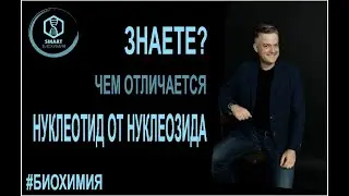 Биохимия: Чем отличается нуклеотид от нуклеозида