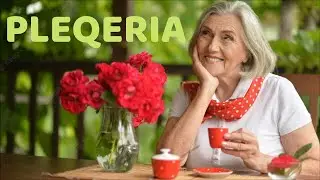 P L E Q E R I A - Mosha e Artë e Jetës - Orjana FALLACI
