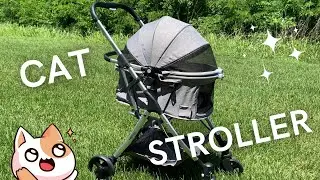 We got a CAT STROLLER! | VeeHoo Cat Stroller Review