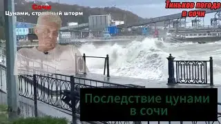 Цунами в сочи. Погода в сочи. Тиньков о погоде в сочи