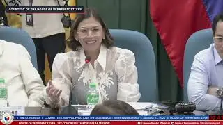 VP Sara forgoes the opportunity to defend her office's budget