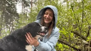 Ваши способности и таланты. Расклад ASMR с пёселем под дождиком🌧️