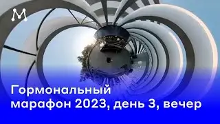 Гормональный марафон 2023, день 3, вечер 📚