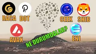 SHIB-CEEK-RACA-ENJ-DOT-AVAX TEKNİK DURUMLARI?