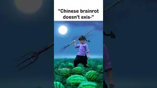 Chinese Brainrot