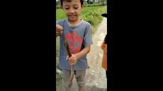 Si kecil Kegirangan Narik Belut. sambil Pasang bubu