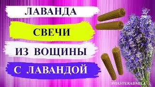 Lavender | Beeswax Candles with Lavender | Making a Beeswax Candle with Lavender
