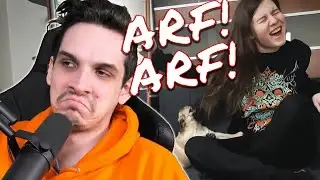 Nik Nocturnal | Now that's a true ARF ARF! | Necropug - Hungry Demon (2SICH)