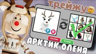 ТРЕЙДЫ НА АРТИК ОЛЕНЯ!*за него так много дают?!*