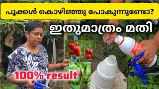 ഇതുമാത്രം മതി |ചെടികളിൽ പൂക്കളും കായ്കളും കൊഴിഞ്ഞു പോകുന്നുണ്ടോ|Best fertilizer for fruiting