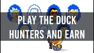 Duck Hunters (WavesDucks Game) - what is it and how it works